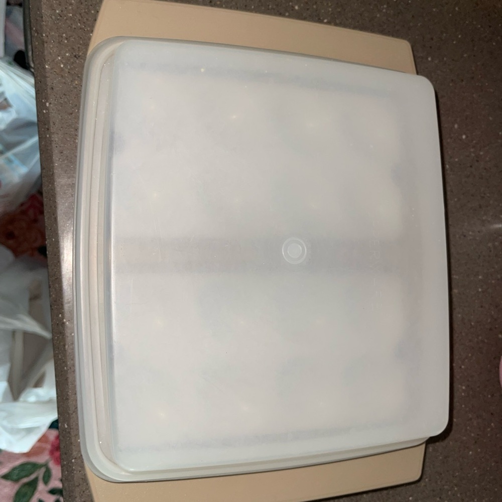 Vintage Tupperware egg tray carrier sealable on the go